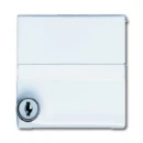 ABB Busch-Jaeger centraalplaat + veld + slot verloop si ip44 70x70x32mm Met tekstveld klapdeksel wit RAL 9010 2CKA001710A1969