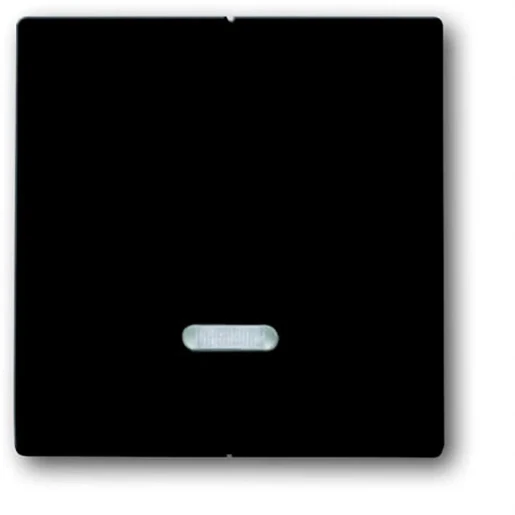 ABB Busch-Jaeger Future Axcent Carat Toets seriedimmer 6565U tiptoets antraciet RAL 7021 2CKA006599A2906