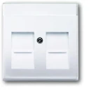 ABB Busch-Jaeger Future Solo Axcent Carat Centraalplaat Jack plug Centraalplaat 2 connectoren Met label wit 2CKA001710A3176