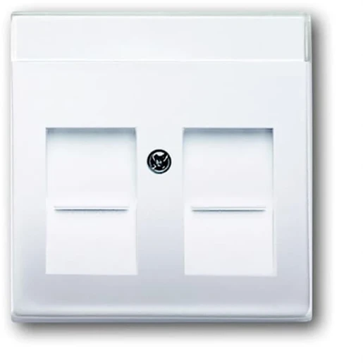 ABB Busch-Jaeger Future Solo Axcent Carat Centraalplaat Jack plug Centraalplaat 2 connectoren Met label wit 2CKA001710A3176