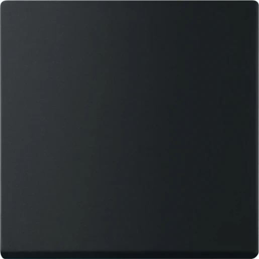 ABB Busch-Jaeger Fohue Bedieningswip enkel future mat zwart enkele wip zwart RAL 9005 2CKA006730A0150