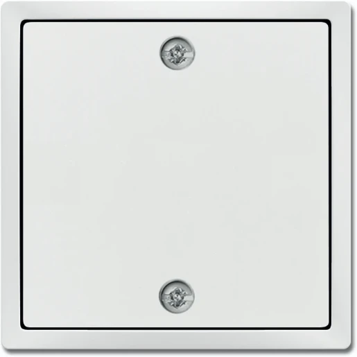 ABB Busch-Jaeger Future Axcent centraalplaat 2610/6u aan / uit trekkoord wit RAL 9016 2CKA001753A0313