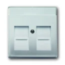 ABB Busch-Jaeger Centraalplaat Jack plug Centraalplaat 2 connectoren MetaalMet label RVS 2CKA001710A3767