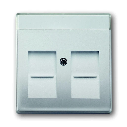 ABB Busch-Jaeger Centraalplaat Jack plug Centraalplaat 2 connectoren MetaalMet label RVS 2CKA001710A3767