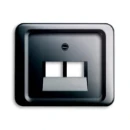 ABB Busch-Jaeger Alpha Centraalplaat datadoos RJ45 Jack plug Centraalplaat 2 connectoren Zonder label platina 2CKA001753A8485