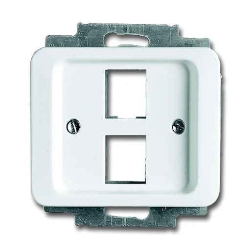 ABB Busch-Jaeger Alpha Centraalplaat Modular-Jack Basiselement met centrale afdekplaat 2 connectoren Zonder label wit 2CKA001753A7800