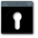 ABB Busch-Jaeger Future Carat centraalplaat slot aan / uit sleutel antraciet RAL 7021 2CKA001710A3626