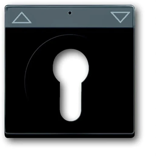 ABB Busch-Jaeger Future Carat centraalplaat slot aan / uit sleutel antraciet RAL 7021 2CKA001710A3626