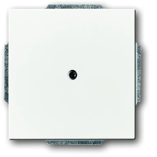 ABB Busch-Jaeger Future centraalplaat 1x uit boring Snoerkap Basiselement met centrale afdekplaat Zonder label wit 2CKA001710A3878