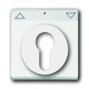 ABB Busch-Jaeger Future Solo Axcent Carat centraalplaat slot aan / uit sleutel wit RAL 9016 2CKA001710A3175