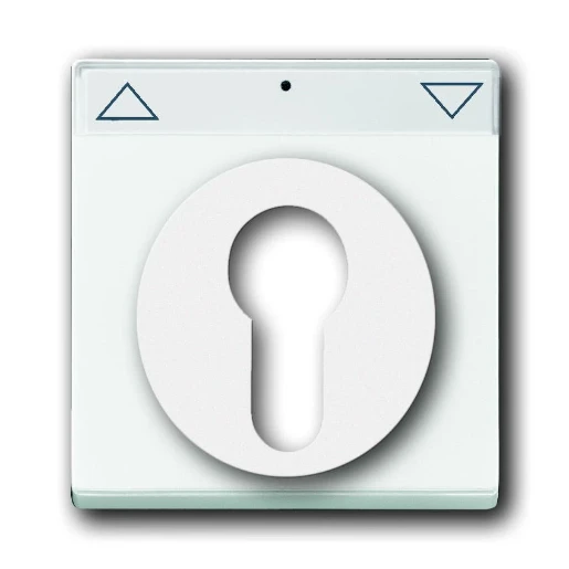 ABB Busch-Jaeger Future Solo Axcent Carat centraalplaat slot aan / uit sleutel wit RAL 9016 2CKA001710A3175