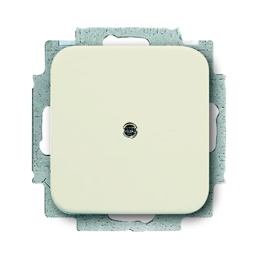 ABB Busch-Jaeger SI Centraalplaat blind + draagraam beige RAL 1013 2CKA001715A0218