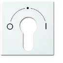 ABB Busch-Jaeger Balance centraalplaat slot 2733 usl-101 si-b aan / uit sleutel wit RAL 9010 2CKA001710A4070