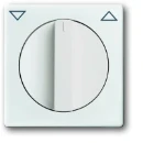 ABB Busch-Jaeger Future Solo Axcent Carat Centraalplaat knevelgreep wit RAL 9016 2CKA001710A3172