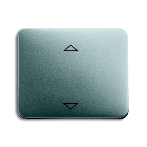 ABB Busch-Jaeger Alpha Bedieningselement sokkel enkele wip titanium 2CKA006430A0318