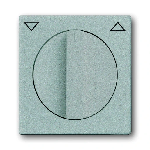 ABB Busch-Jaeger Future Centraalplaat knevelgreep aluminium RAL 9006 2CKA001710A3661