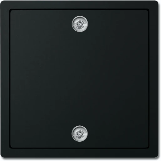 ABB Busch-Jaeger Future Axcent Carat centraalplaat aan / uit trekkoord zwart RAL 9005 2CKA001753A0314