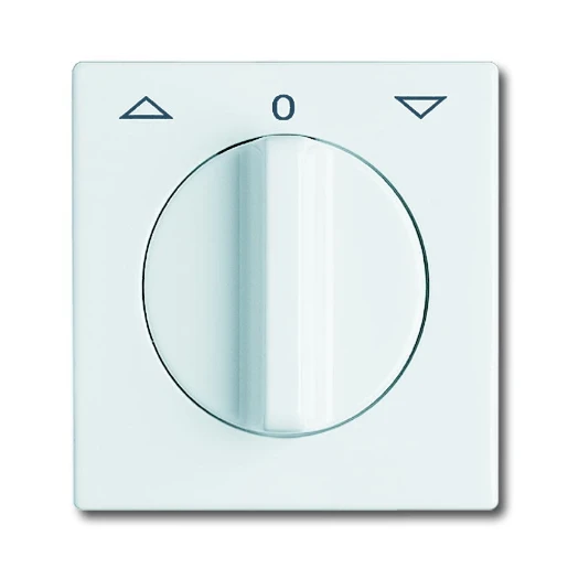 ABB Busch-Jaeger Centraalplaat + knop knevelgreep wit RAL 9010 2CKA001710A1811