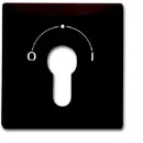 ABB Busch-Jaeger centraalplaat slot 2733usl-101 aan / uit sleutel bruin RAL 8017 2CKA001710A3805