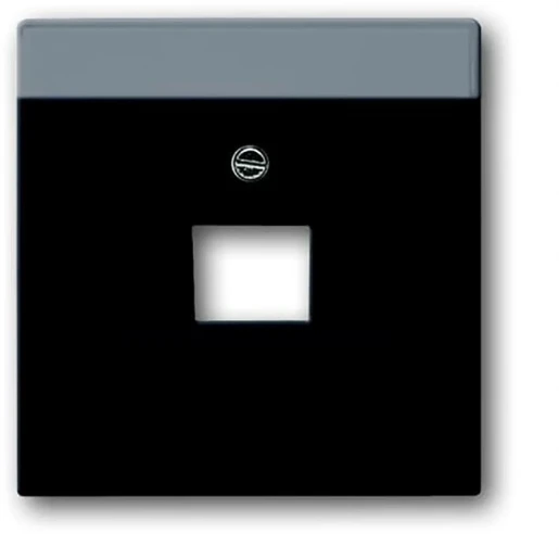 ABB Busch-Jaeger Future Axcent Carat Centraalplaat datadoos RJ45 Jack plug Centraalplaat 1 connector Met label zwart 2CKA001710A3912