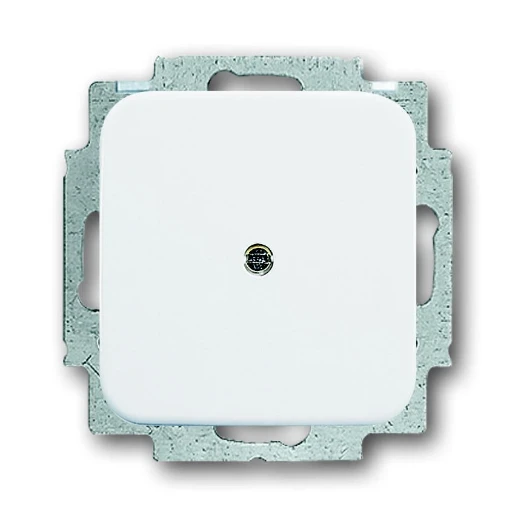 ABB Busch-Jaeger Reflex SI Centraalplaat blind + draagraam wit RAL 9010 2CKA001715A0275