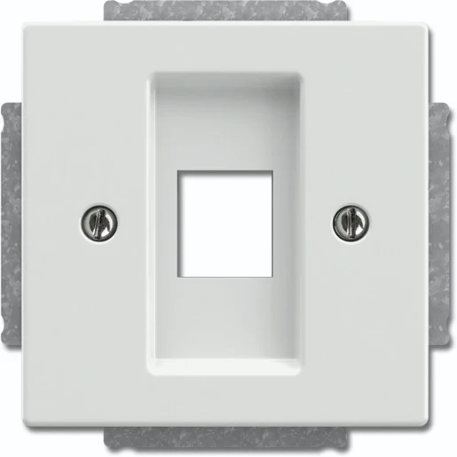 ABB Busch-Jaeger Future Centraalplaat 1 x MJ Modular-Jack Basiselement met centrale afdekplaat 1 connector Zonder label wit 2CKA001753A0405