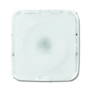 ABB Busch-Jaeger BUSCH-iceLight Plafondmodule RSI Decorelement Direct Kunststof