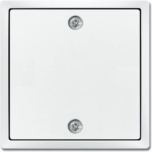 ABB Busch-Jaeger Future Solo Axcent Carat centraalplaat trekschakelaar 2610/6u aan / uit trekkoord wit RAL 9016 2CKA001753A0311