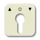 ABB Busch-Jaeger SI Centraalplaat slot sleutel wit RAL 1013 2CKA001710A1332