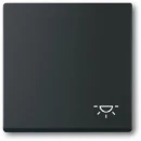 ABB Busch-Jaeger Future bedieningselement wip pulsdrukker aan / uit enkele wip zwart RAL 9005 2CKA001751A3193