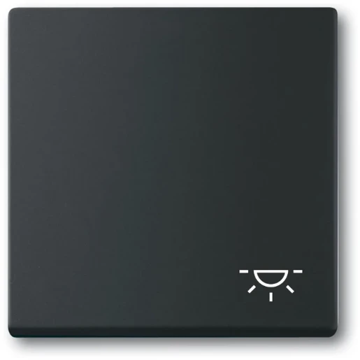 ABB Busch-Jaeger Future bedieningselement wip pulsdrukker aan / uit enkele wip zwart RAL 9005 2CKA001751A3193