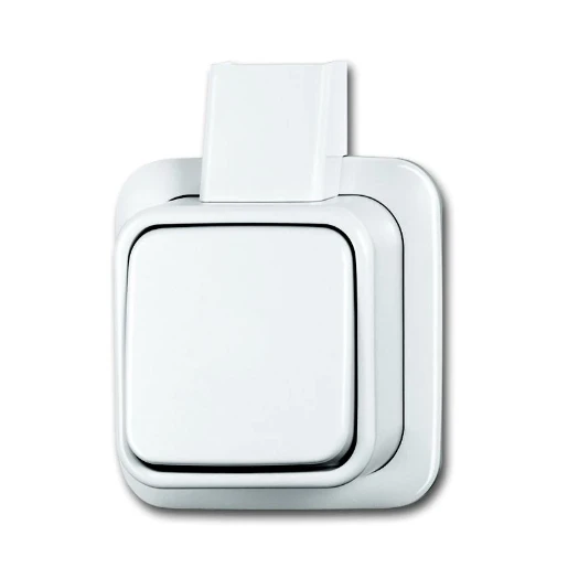 ABB Busch-Jaeger AP Installatieschakelaar + plaat Wisselschakelaar opbouw 10AX wit RAL 9010 IP20 2CKA001042A1025