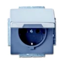 ABB Busch-Jaeger wandcontactdoos centraalplaat inbouw 16A 250V RA Mat RVS RAL IP20 2CKA002018A1490