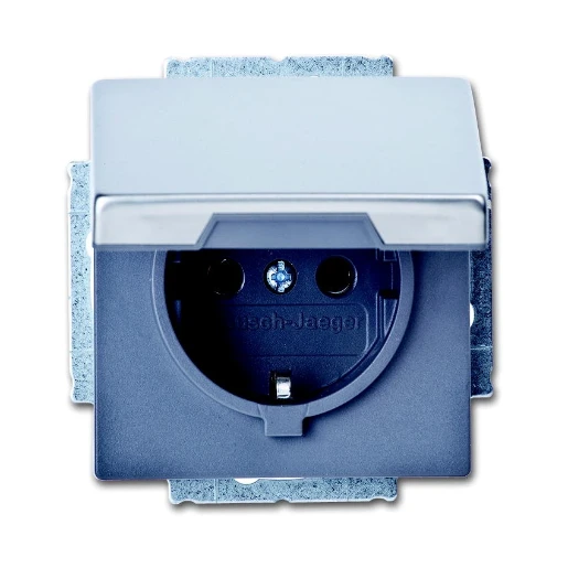 ABB Busch-Jaeger wandcontactdoos centraalplaat inbouw 16A 250V RA Mat RVS RAL IP20 2CKA002018A1490