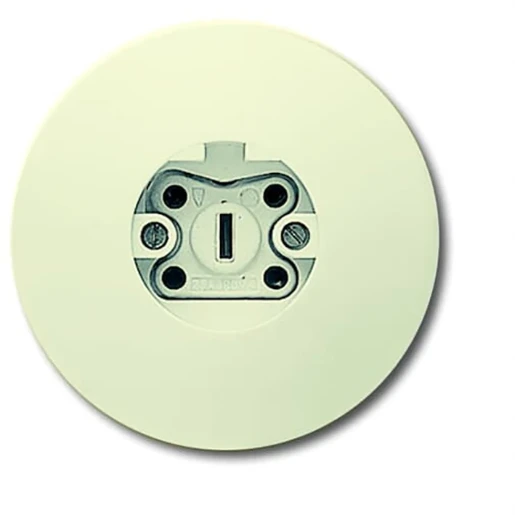 ABB Busch-Jaeger wcd vpl rond inb Perilex 25A