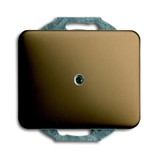 ABB Busch-Jaeger Alpha Centraalplaat blind brons 2CKA001753A1431