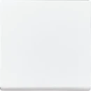 ABB Busch-Jaeger Future Solo Axcent Carat bedieningswip enkel future (1 stuk = 10) enkele wip wit RAL 9016 2CKA006730A0164