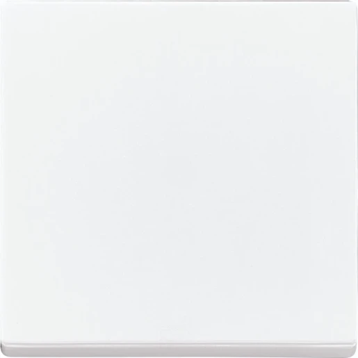 ABB Busch-Jaeger Future Solo Axcent Carat bedieningswip enkel future (1 stuk = 10) enkele wip wit RAL 9016 2CKA006730A0164