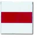 ABB Busch-Jaeger Future Solo Axcent Carat Infoli Infoline centraalplaat lens rood + transparant centraalplaat wit RAL 9016 2CKA001582A0350