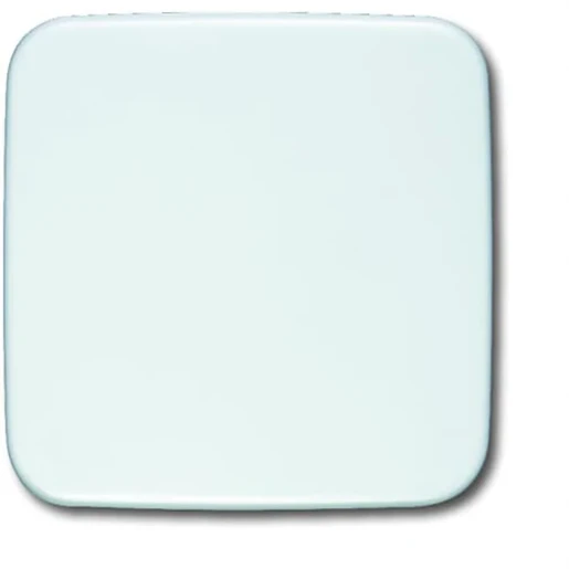 ABB Busch-Jaeger Reflex SI Infoline Infoline centraalplaat blind wit RAL 9010 2CKA001582A0354