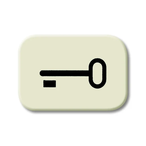 ABB Busch-Jaeger sleutel symbool si/ap Symbool 