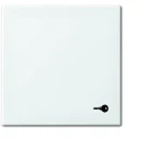 ABB Busch-Jaeger Balance bedieningselement wip pulsdrukker si-b aan / uit enkele wip wit RAL 9010 2CKA001731A2012