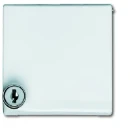 ABB Busch-Jaeger centraalplaat + kd + slot verloop si ip44 70x70x32mm klapdeksel beige RAL 1013 2CKA001710A2298