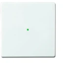 ABB Busch-Jaeger F@home bedieningswip enkele wip wit RAL 9016 2CKA006220A0034