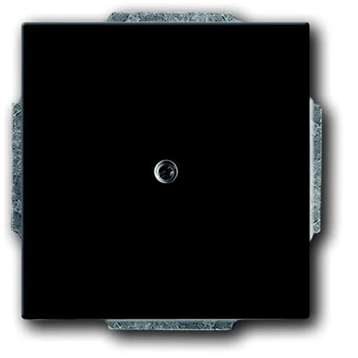 ABB Busch-Jaeger Future centraalplaat 1x uit boring Snoerkap Basiselement met centrale afdekplaat Zonder label zwart 2CKA001710A3900