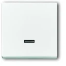 ABB Busch-Jaeger Future Solo Axcent Carat tiptoets enkele wip wit RAL 9016 2CKA006599A2834