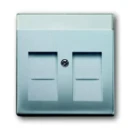 ABB Busch-Jaeger Future Centraalplaat Jack plug Centraalplaat 2 connectoren Met label aluminium 2CKA001710A3676