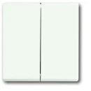 ABB Busch-Jaeger Future Axcent bedieningselement voor serie + wissel aan / uit tweedelige wip wit RAL 9016 2CKA001751A3024