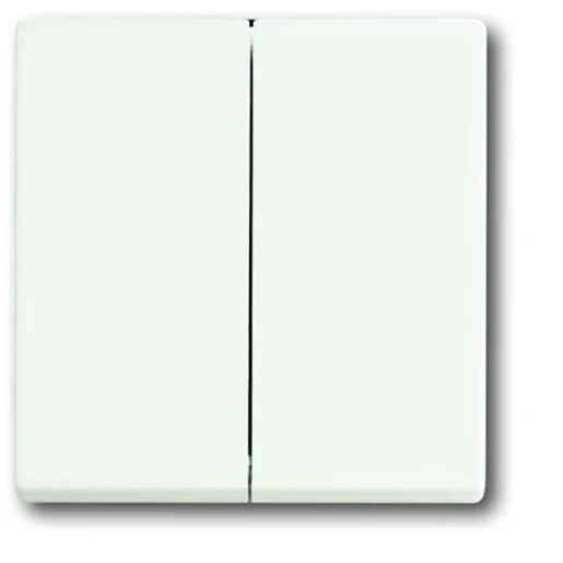 ABB Busch-Jaeger Future Axcent bedieningselement voor serie + wissel aan / uit tweedelige wip wit RAL 9016 2CKA001751A3024