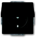 ABB Busch-Jaeger Future wandcontactdoos centraalplaat inbouw 16A 250V RA Mat zwart RAL 9005 IP20 2CKA002018A1495